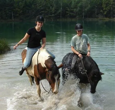 Camping Borken Am See